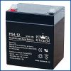 Power Kingdom 4 - 12V Battery
