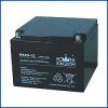 Power Kingdom 26 - 12V Battery