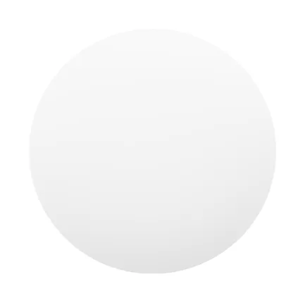 Xiaomi Smart LED Ceiling Light - 450mm